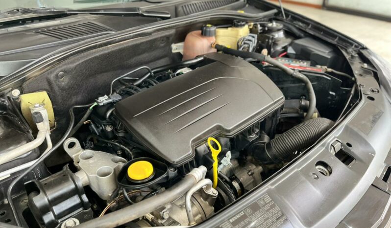 Renault Clio 2009 lleno